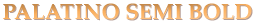Picture of Bronze Letters & Numbers - Palatino Semi Bold
