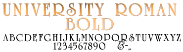University Roman Bold